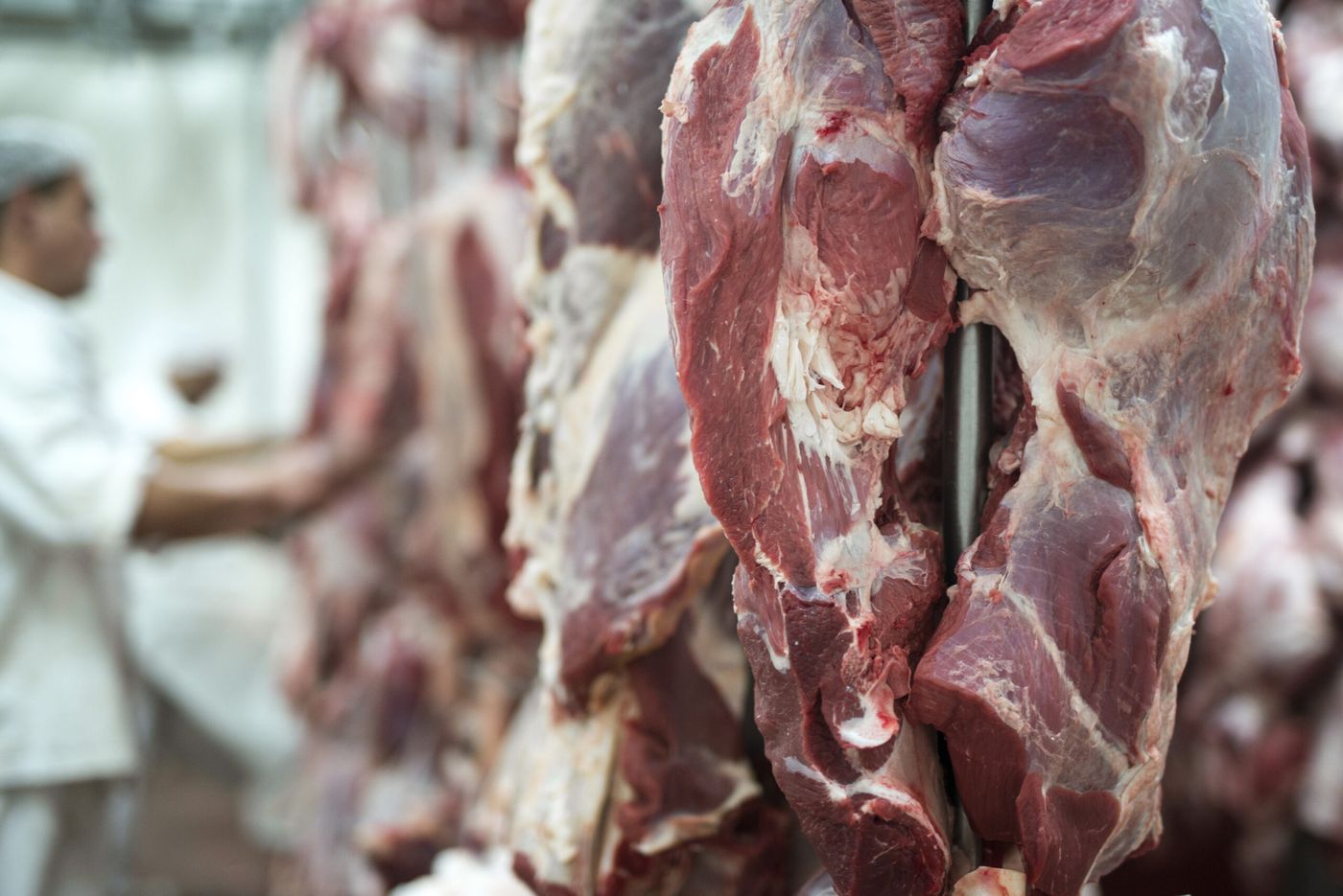 Exportación carne