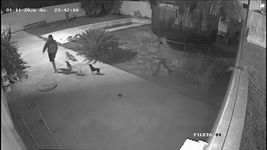 ladrones entraron a una casa en lisandro olmos y en 2 minutos golpearon y desvalijaron a los duenos ladrones entraron a una casa en lisandro olmos y en 2 minutos golpearon y desvalijaron a los duenos