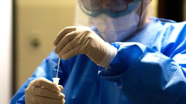 coronavirus en argentina: notificaron 19 fallecidos y 1.518 contagios