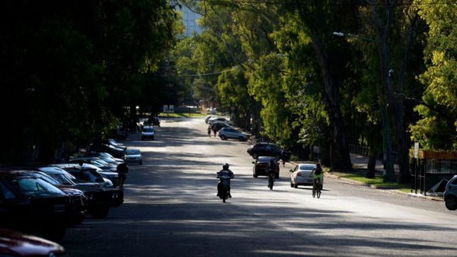 conmocion en el bosque: corria picadas, atropello a un joven, lo mato y quiso escapar