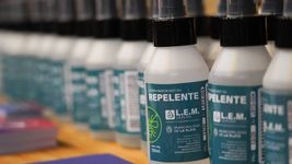 continuan las jornadas de prevencion del dengue en distintos barrios de la plata continuan las jornadas de prevencion del dengue en distintos barrios de la plata