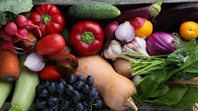 otra vez marcando historia: la unlp abrira la primera planta de prebioticos de argentina