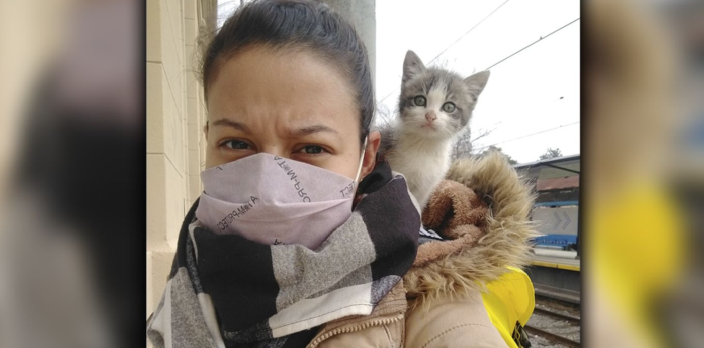 1654095941501.jpg?x=49&y=6&width=1356&height=678&rotate=0&scaleX=1&scaleY=1&ow=1500&oh=692&&cw=1920&ch=950