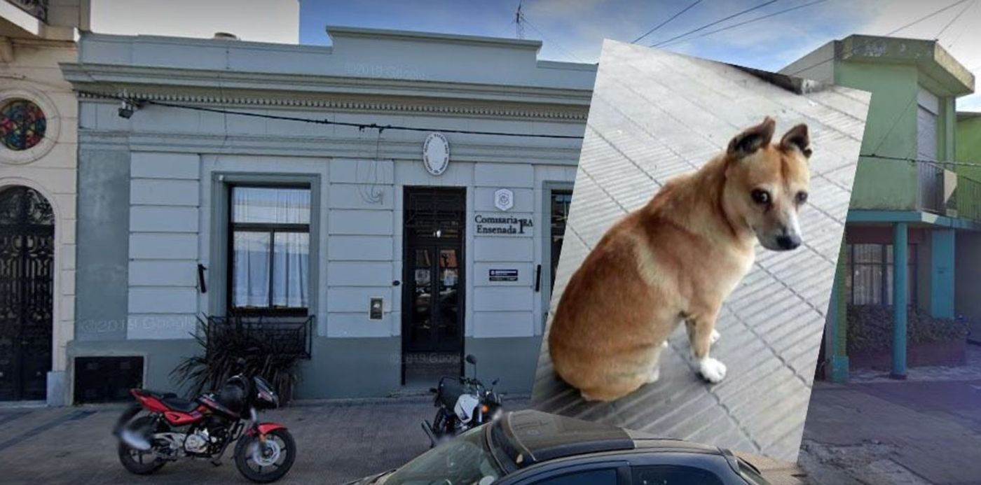 1588368924915.jpg?y=41&width=952&height=476&oh=529&ow=985&x=33&rotate=0&scaleX=1&scaleY=1&&cw=1920&ch=950