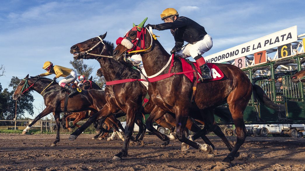 ¿Cómo funcionan los nuevos sistemas de apuestas que implementará el Hipódromo de La Plata?