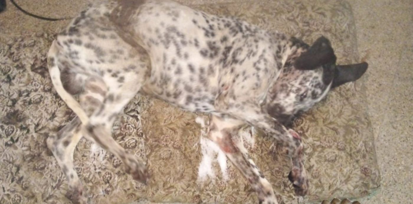 1651524451565.jpg?x=6&y=6&width=1268&height=634&rotate=0&scaleX=1&scaleY=1&ow=1280&oh=720&&cw=1920&ch=950