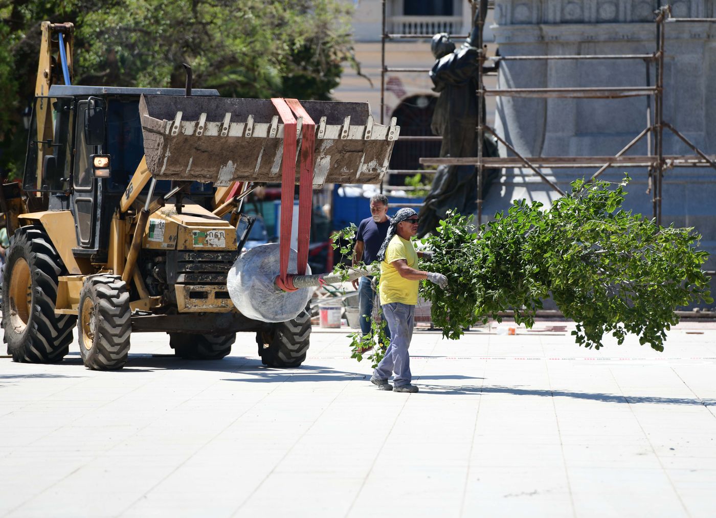 plaza san martin obras arboles cesped_0028.JPG