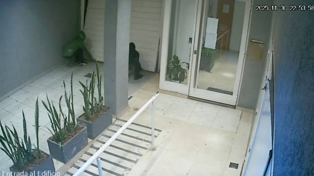 dos ladrones intentaron romper el porton de un edificio de la plata para robar, pero los echaron a los gritos