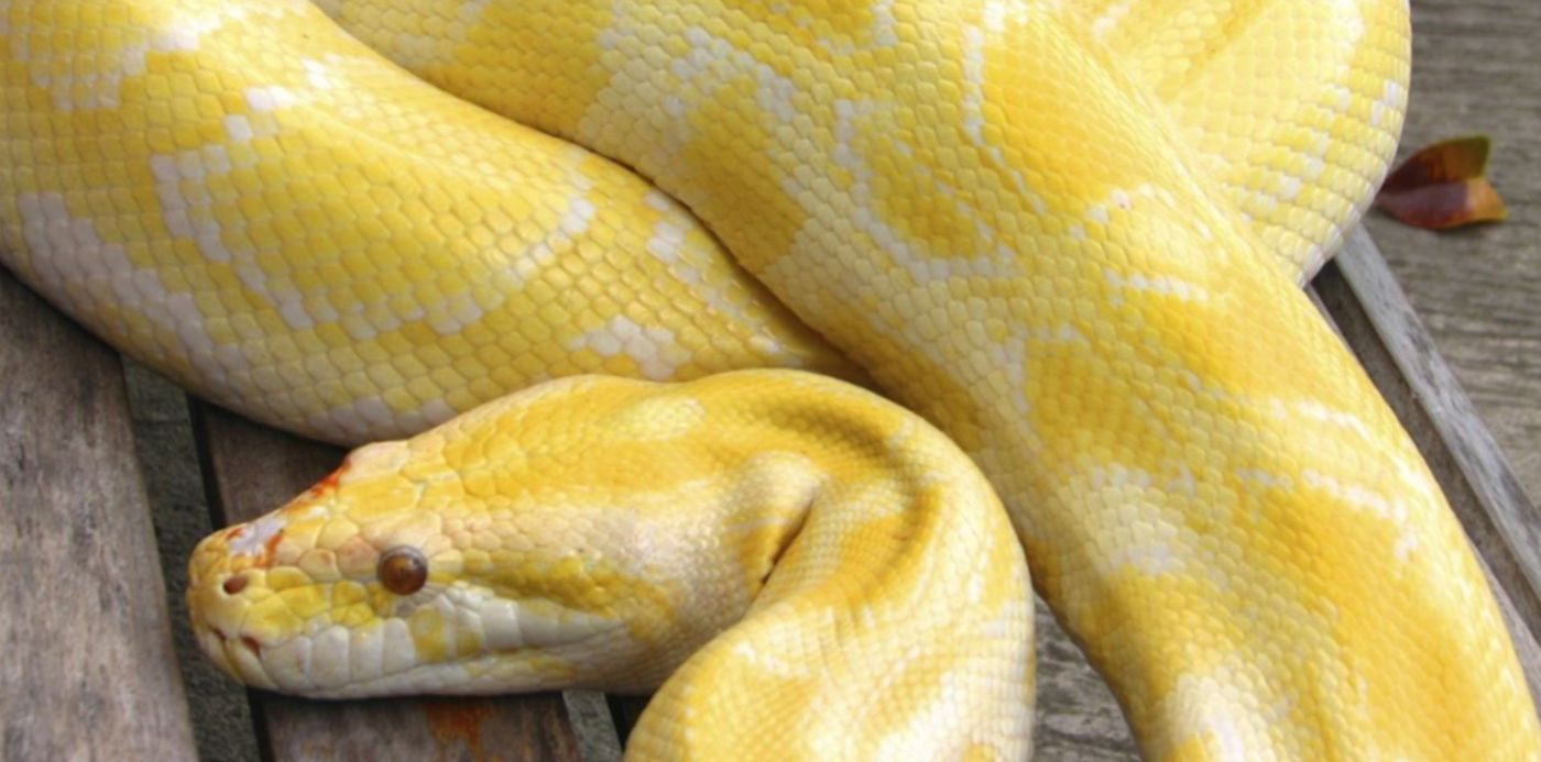 1625496041227.jpg?x=2&y=57&width=1191&height=596&rotate=0&scaleX=1&scaleY=1&ow=1200&oh=675&&cw=1920&ch=950