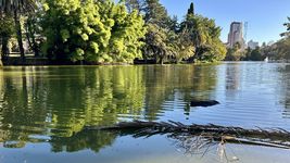 cientificos de la unlp descubrieron un hiperparasito unico en el lago del bosque nunca antes visto cientificos de la unlp descubrieron un hiperparasito unico en el lago del bosque nunca antes visto