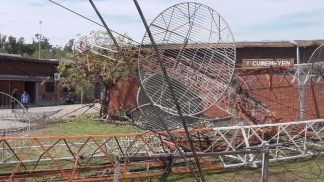 tragedia en el hipodromo: se cayo una antena y hay al menos un caballo muerto