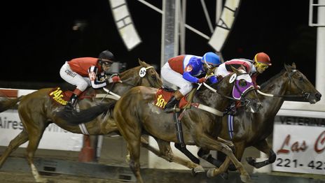 Hipódromo de La Plata Gran Premio Dardo Rocha2.jpg