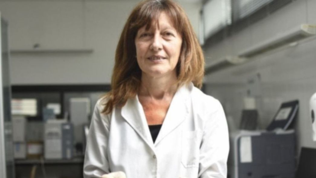 Entre el placer y el estrés: la bioquímica que diagnostica coronavirus en La Plata