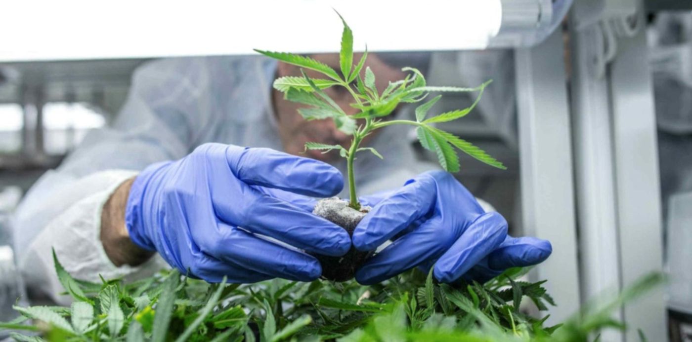 1568645583454.jpg?x=17&y=93&width=1477&height=739&rotate=0&scaleX=1&scaleY=1&ow=1500&oh=1000&&cw=1920&ch=950