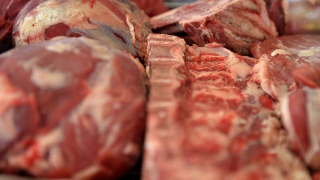aseguran que la semana que viene argentina volveria a exportar carne