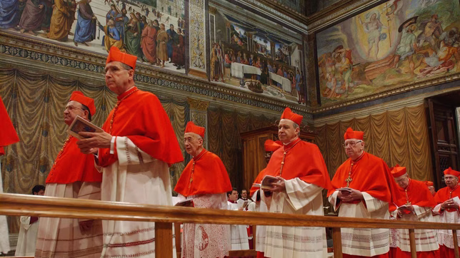 ¿como es el proceso para elegir un nuevo papa?