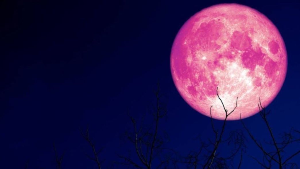 ¿Qué es y cuándo podrá verse la Luna de Fresa, el segundo eclipse del año en Argentina?