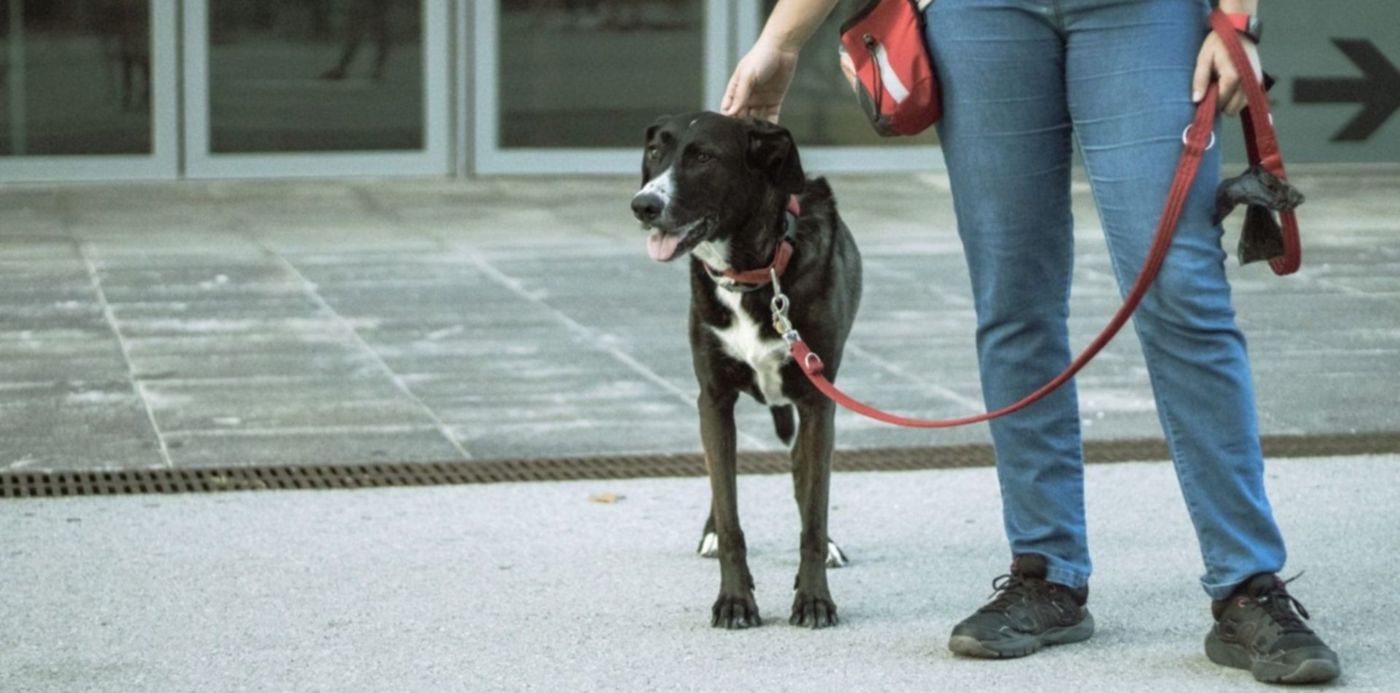 1688656516031.jpg?x=0&y=113&width=1513&height=756&rotate=0&scaleX=1&scaleY=1&ow=1500&oh=999&&cw=1920&ch=950