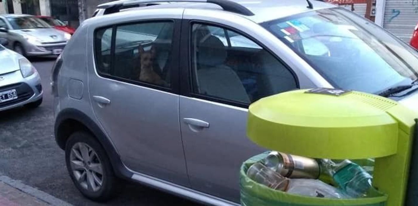 1570596734150.jpg?width=710&height=355&rotate=0&scaleX=1&scaleY=1&ow=720&x=2&y=240&oh=960&&cw=1920&ch=950