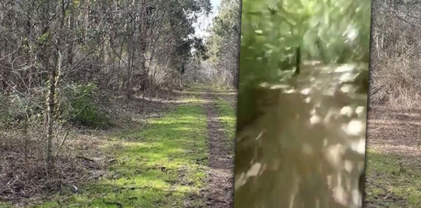 1666915813715.jpg?x=8&y=0&width=1484&height=742&rotate=0&scaleX=1&scaleY=1&ow=1500&oh=742&&cw=1920&ch=950