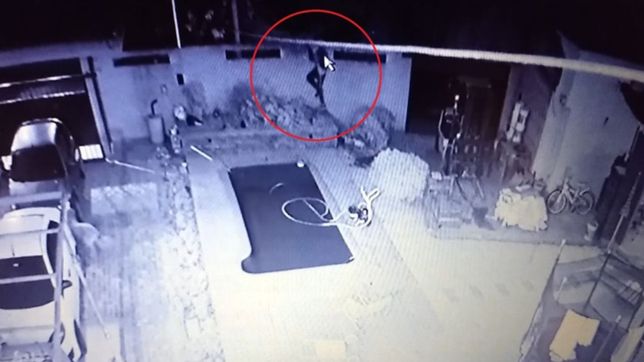 video: ladron salta muros entro a robar a una casa de la plata y se llevo una bicicleta