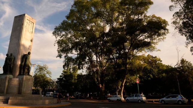 intento robar una bicicleta en pleno bosque de la plata y fue atrapado in fraganti