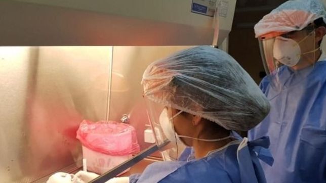 la unlp comenzo con los analisis de covid-19 y ya son 18 los laboratorios en la provincia