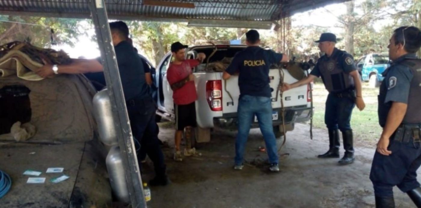 1579305114239.jpg?y=26&scaleX=1&scaleY=1&x=15&width=1007&height=503&rotate=0&ow=1024&oh=640&&cw=1920&ch=950