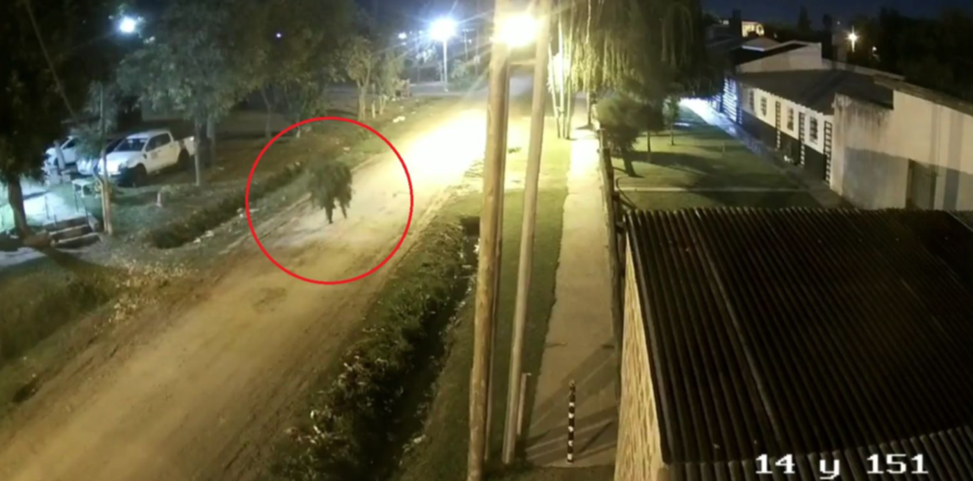 1683645130225.jpg?x= 5&y=78&width=1510&height=755&rotate=0&scaleX=1&scaleY=1&ow=1500&oh=833&&cw=1920&ch=950