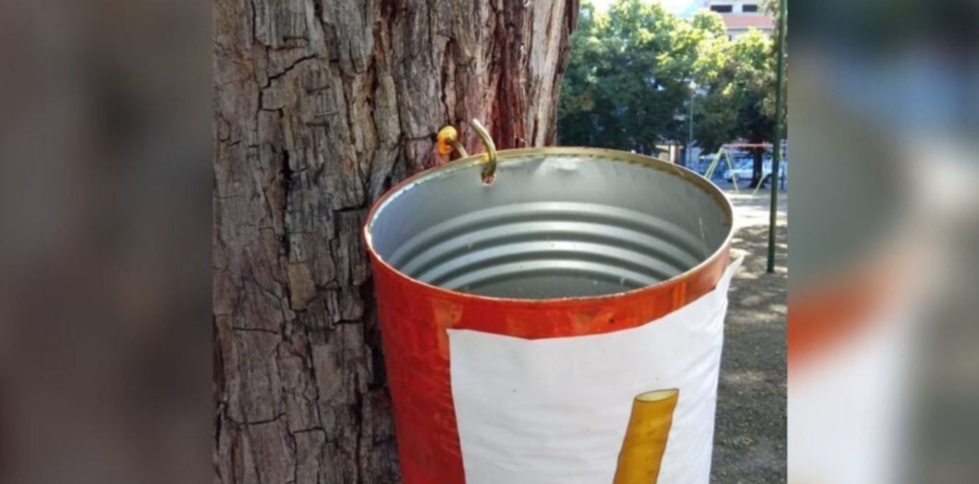 1576670310213.jpg?x=23&rotate=0&scaleY=1&oh=650&y=0&width=1276&height=638&scaleX=1&ow=1350&&cw=1920&ch=950