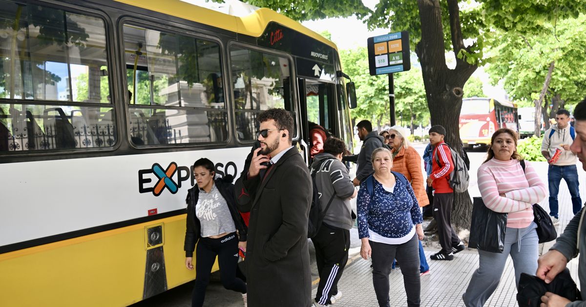 Las diez claves del nuevo sistema de micros que se licitará en La Plata