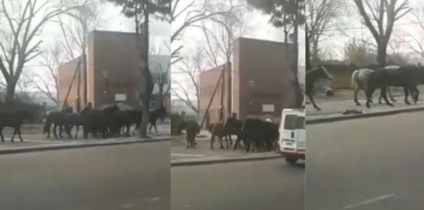 1568158627657.jpg?y=0&height=743&scaleY=1&oh=861&x=7&width=1487&rotate=0&scaleX=1&ow=1500&&cw=1920&ch=950