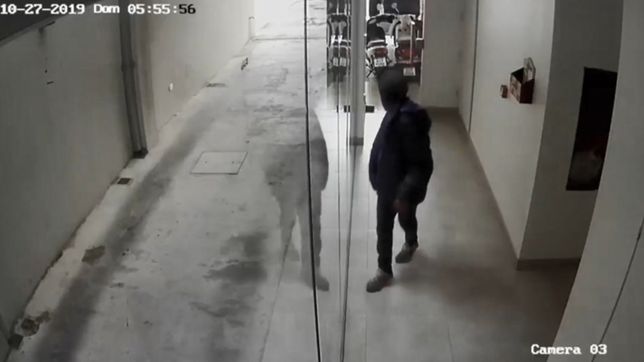 video: entro de una patada a un edificio, paseo como si nada y trato de robarse una moto