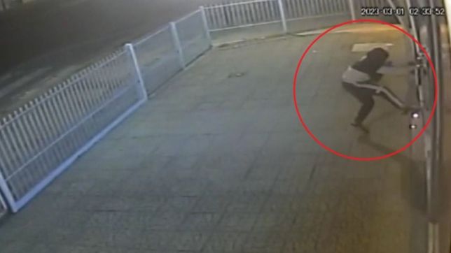 video: entraron a robar a una reconocida jugueteria de la plata y quedaron filmados
