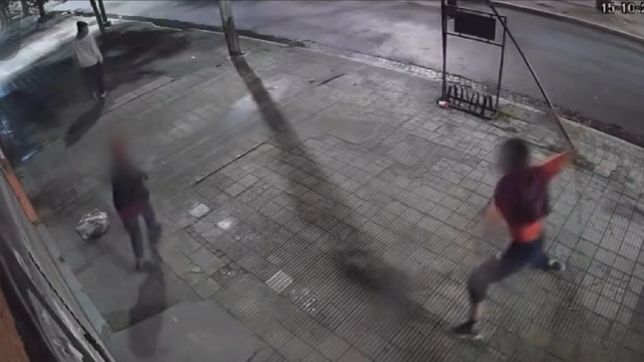 una banda de chicos destrozo un local en pleno centro de la plata y quedo filmada