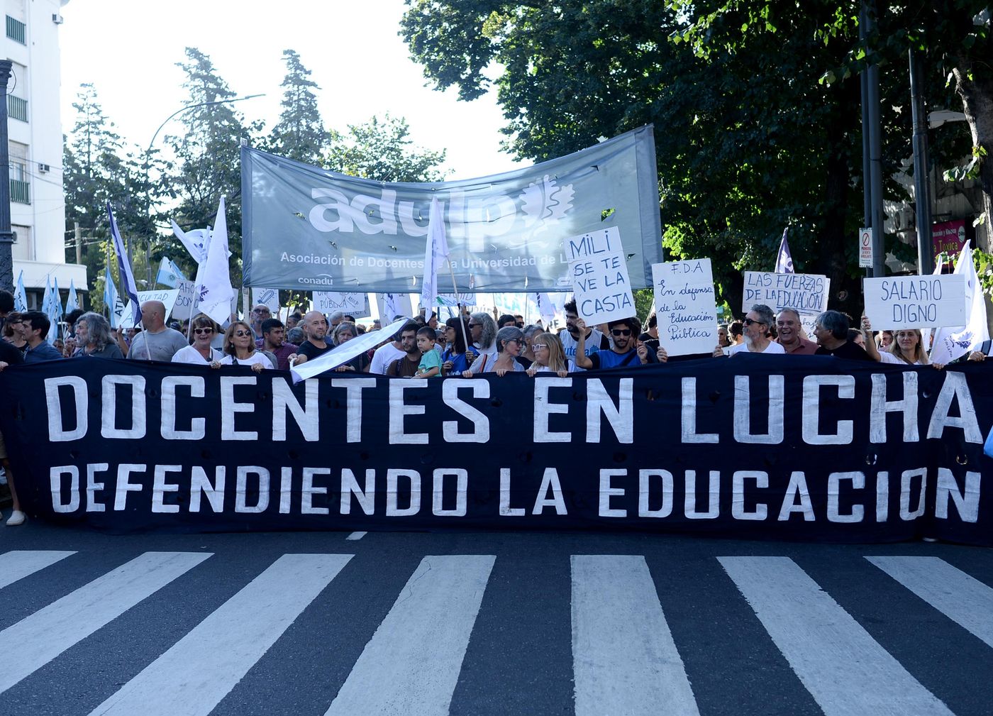 Marcha UNLP (4).jpg