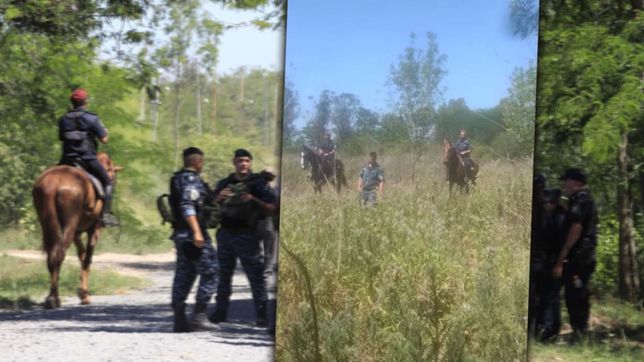 video: asi es el rastillaje en busca de la chica desaparecida en la plata