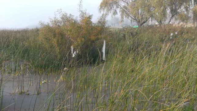 amplio despliegue policial en punta lara por la aparicion de restos humanos