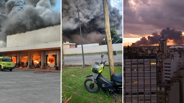 controlaron el incendio en el frigorifico gorina, pero se mantiene el alerta en la plata