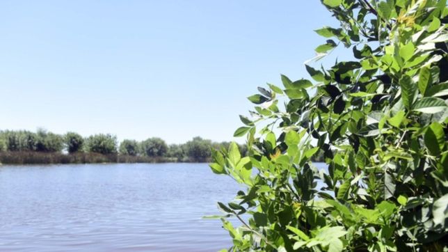 el municipio fue a la justicia para frenar las obras ilegales en el humedal de el pescado
