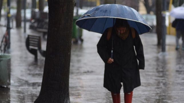 la ola polar en la plata llego para quedarse: asi va a estar el clima esta semana