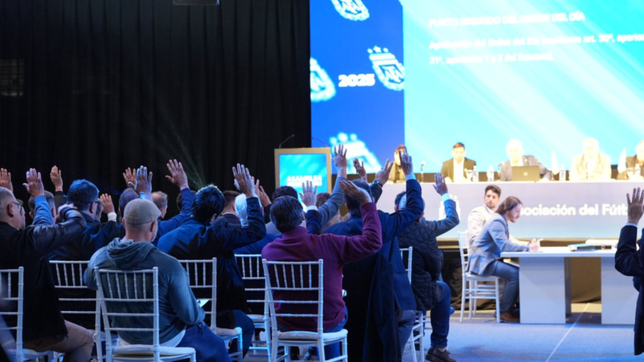 ¿que dirigentes del pincha y el lobo participaron de la asamblea de la afa?