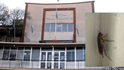 Basura, goteras, arañas y cucarachas: así denuncian la dejadez del Hospital San Martín