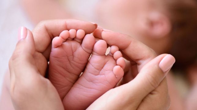 este miercoles se vota en la plata el programa de parto respetado: de que se trata