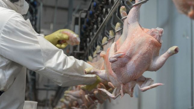 la anmat prohibio la venta de una marca de pollo en todo el pais
