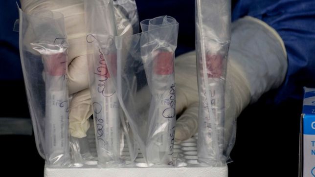 el cambio que hizo la provincia para anticiparse a la cepa delta y retrasar la tercera ola