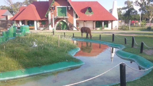 desmienten que los animales de la repu esten sin agua en medio de la ola de calor