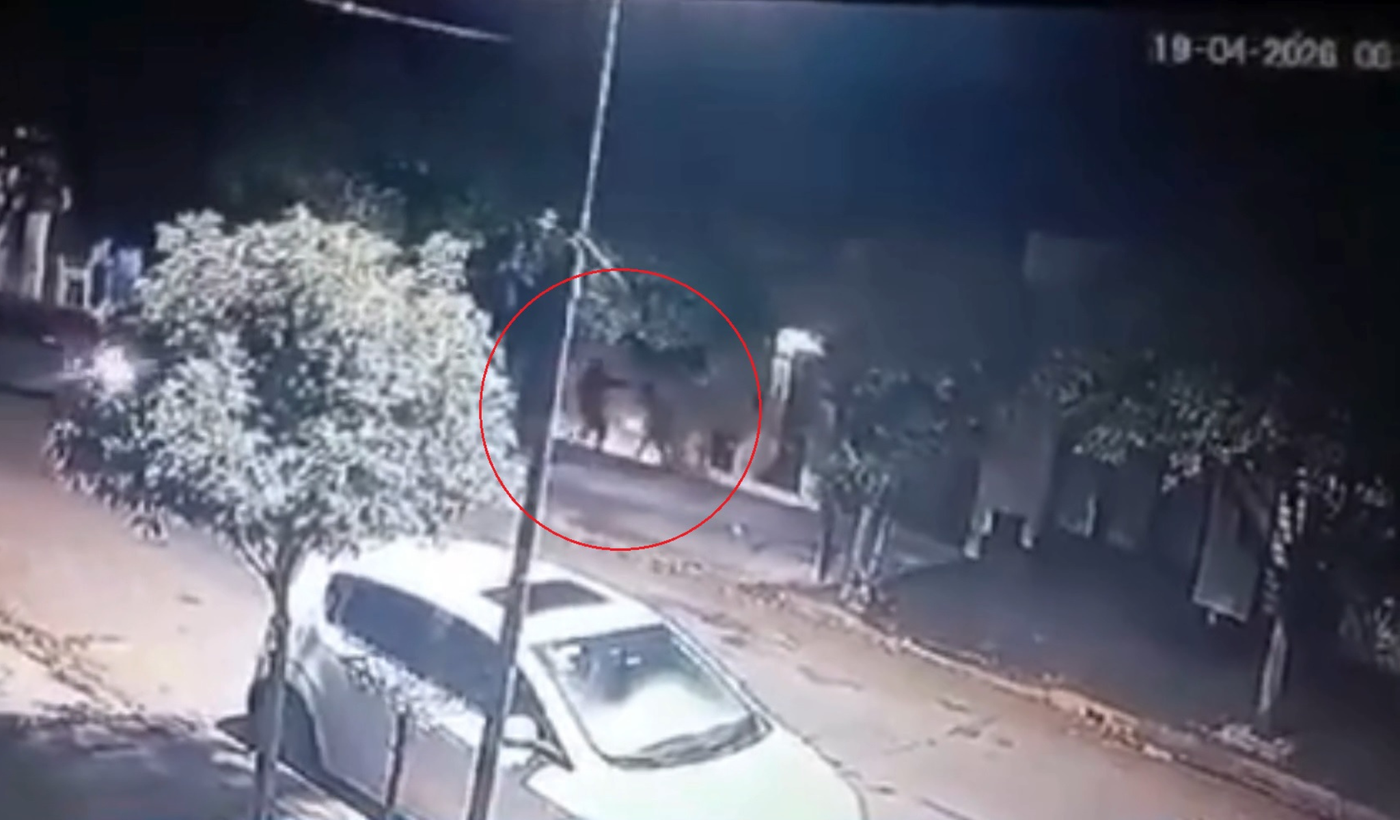 Intento de robo en La Loma