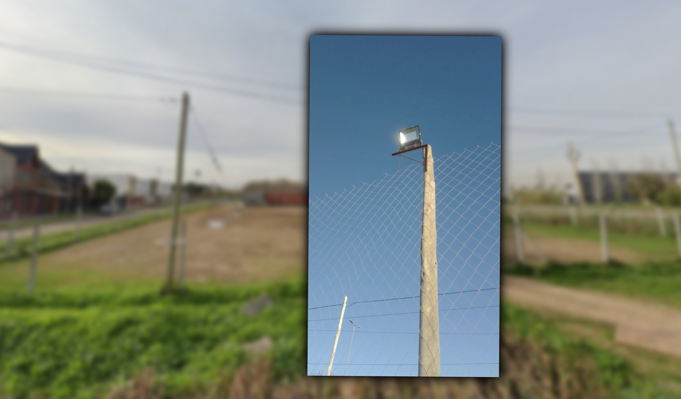 tapa robo san martin de tolosa.png