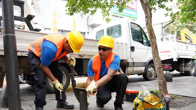 arrancaron las obras para mejorar el centro comercial de calle 8